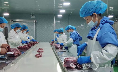 安顺市发展特色农业产业助力乡村振兴综述